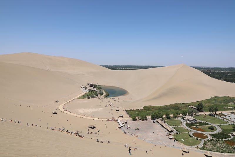 Moonlit Oasis
